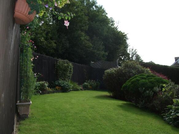 Photo 15