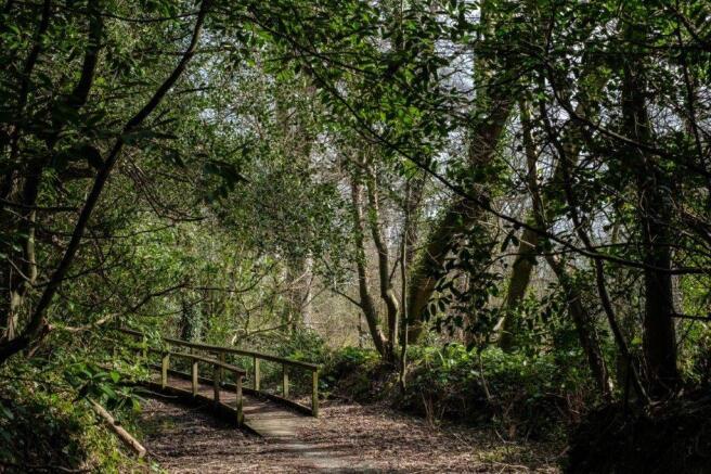 Woodland 