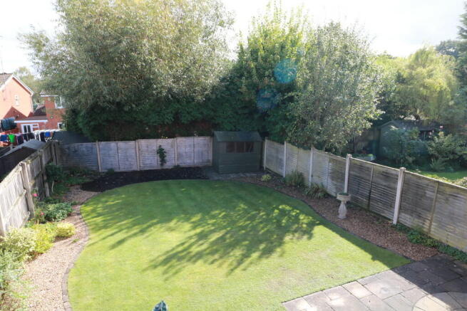 Photo 15