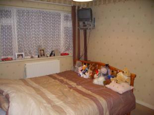 Picture No.02