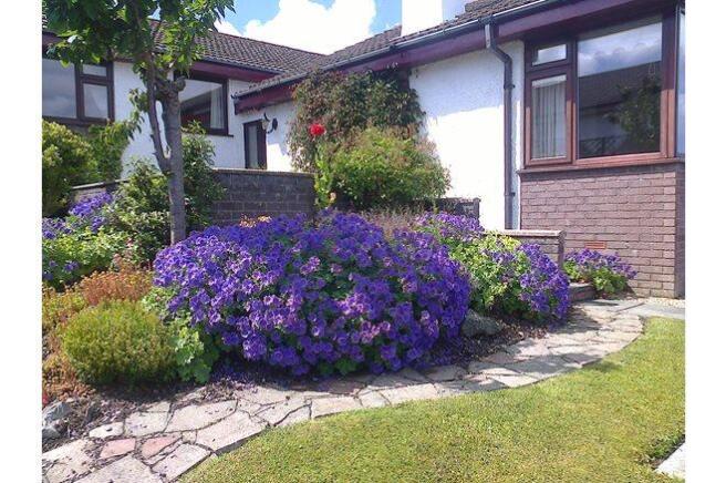 Front Garden