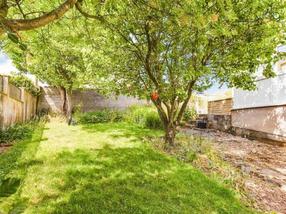 Back Garden