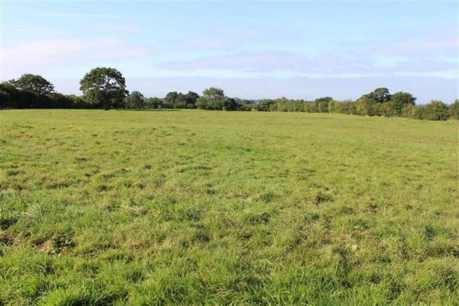 Countryside Views
