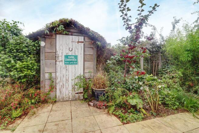 Garden at Back