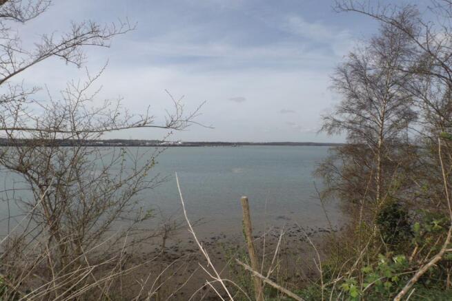 Local views