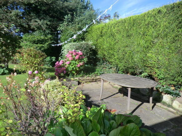 Photo 15