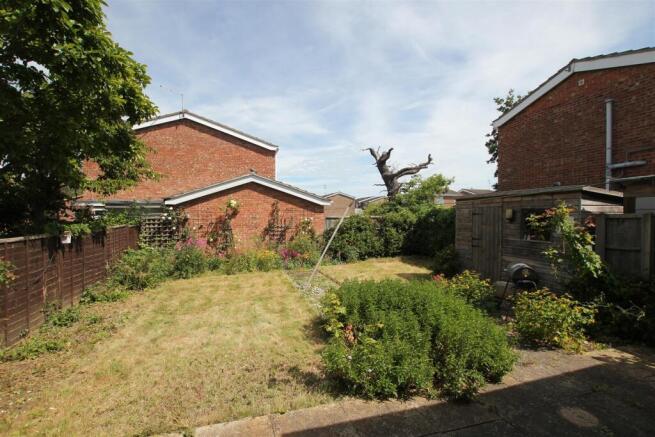 garden.JPG