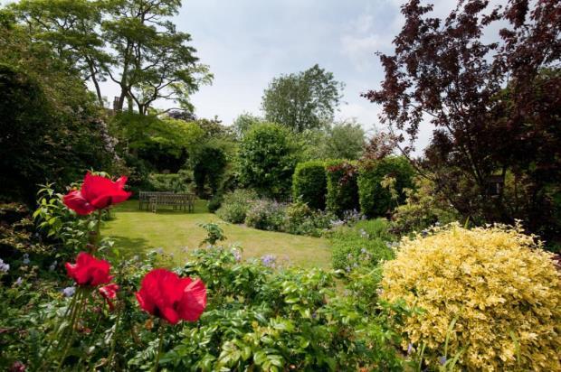 Garden 1