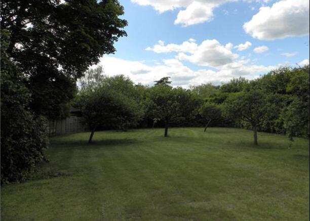 Orchard