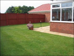 Rear garden