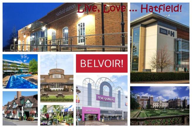 Hatfield Collage.jpg