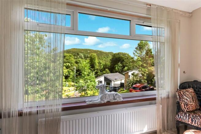 Living Room View