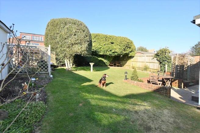Photo 21