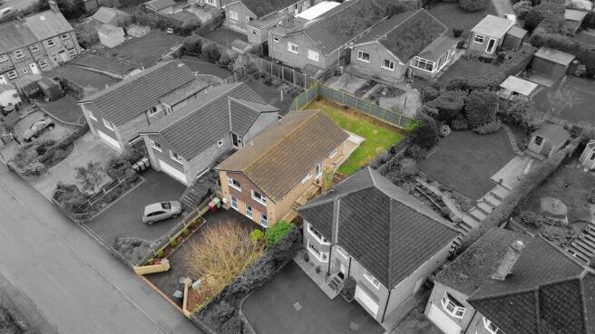 DJI_0945_1-1.jpg