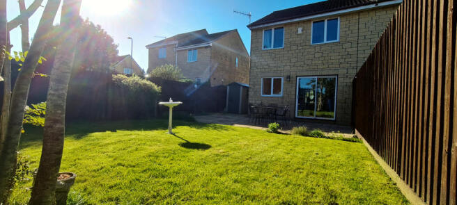 Photo 7