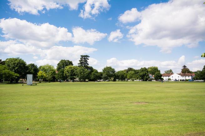 cricket green.jpg