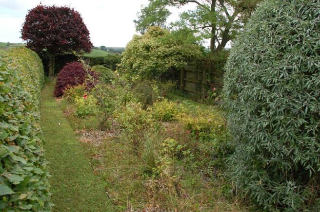 Secluded Garden