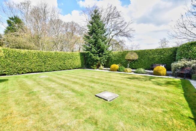 Garden 1.jpg