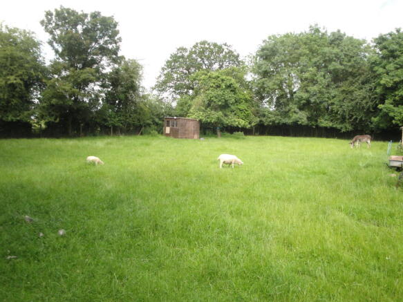 grounds