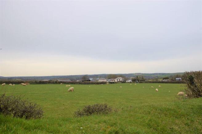 Field & Views