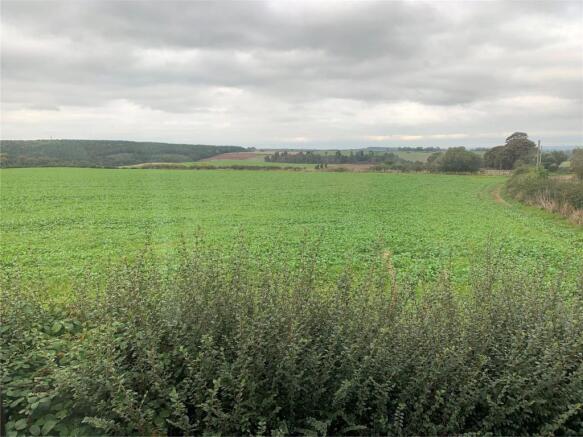 View From Bedroom 2