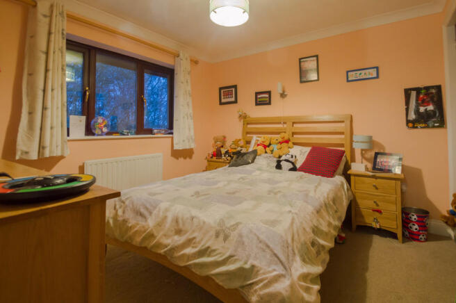 Photo 15