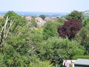 View (2)