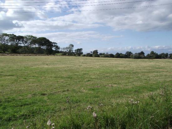 Neighbouring Fields