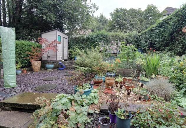 Back garden 2