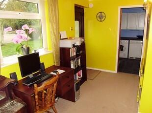 Study Area