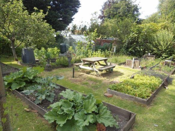 Vegetable Plot