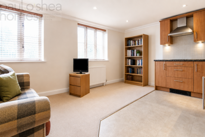 Kitchen/Living/Dining