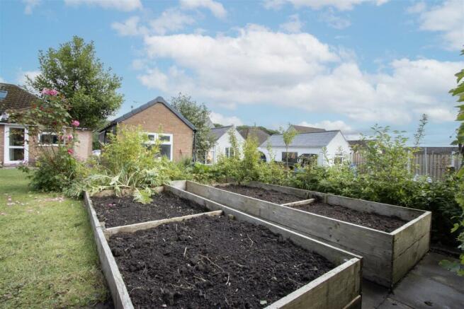 Veggie Patch.jpg