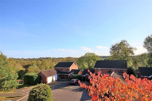 View From Master Bedroom