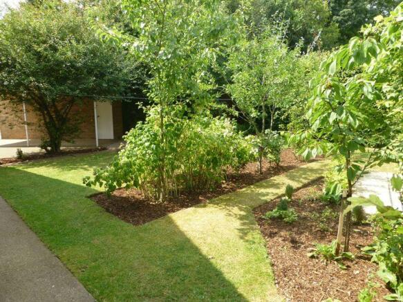side garden
