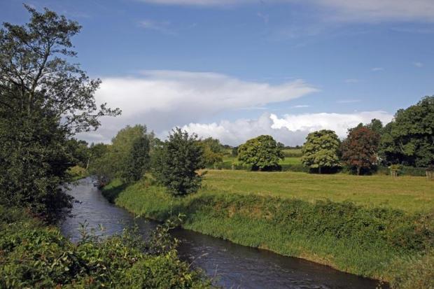 Shawhill
