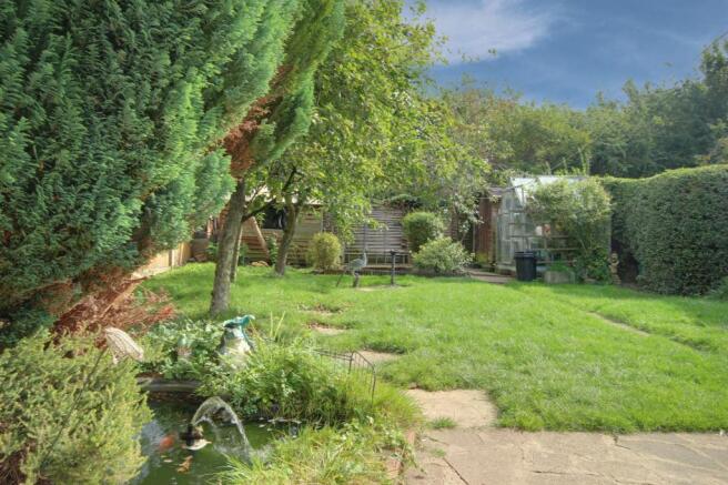 Garden at Back
