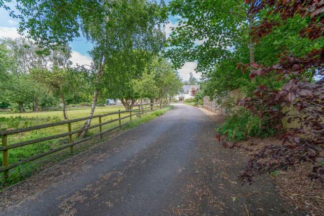 Driveway to Rushwinds & the Annexe