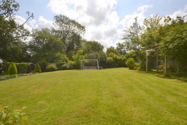new garden 9.JPG