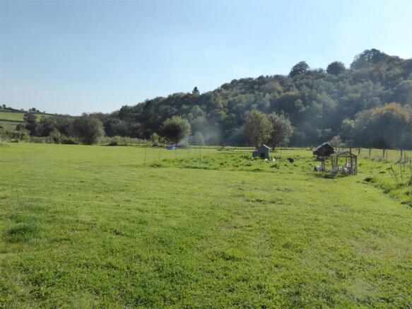 MEADOW PADDOCK
