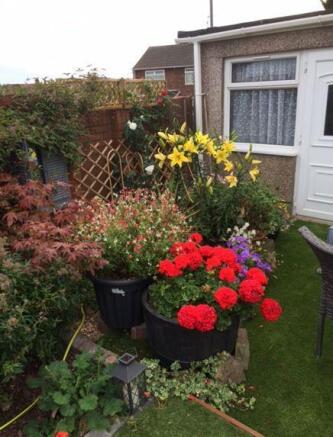 Garden 4.JPG