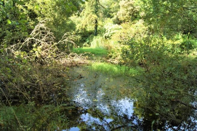 Photo 22