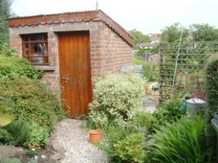 Rear Garden ii