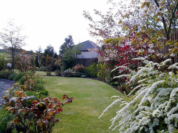 Garden in Spring