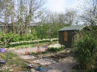 Herb Garden Area