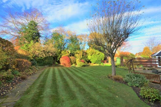 back garden 1.jpg