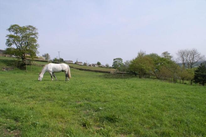 Field