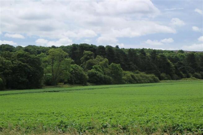 SITE
