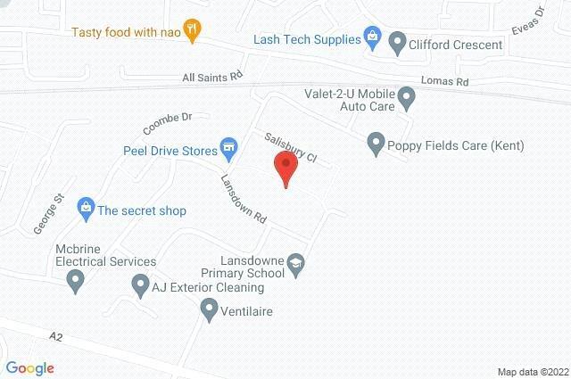 Google Maps Image