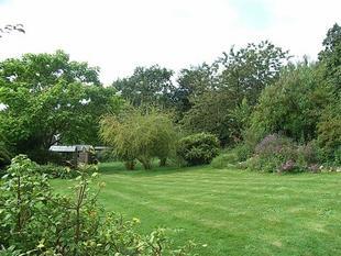 Further Garden Picture